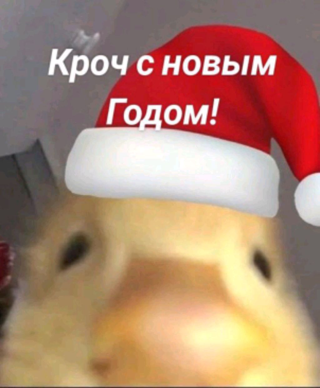 нг
