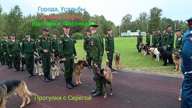 Праздник Служебного Собаководства. Часть Вторая