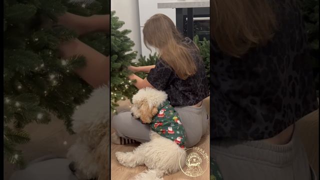 Помоги мне )