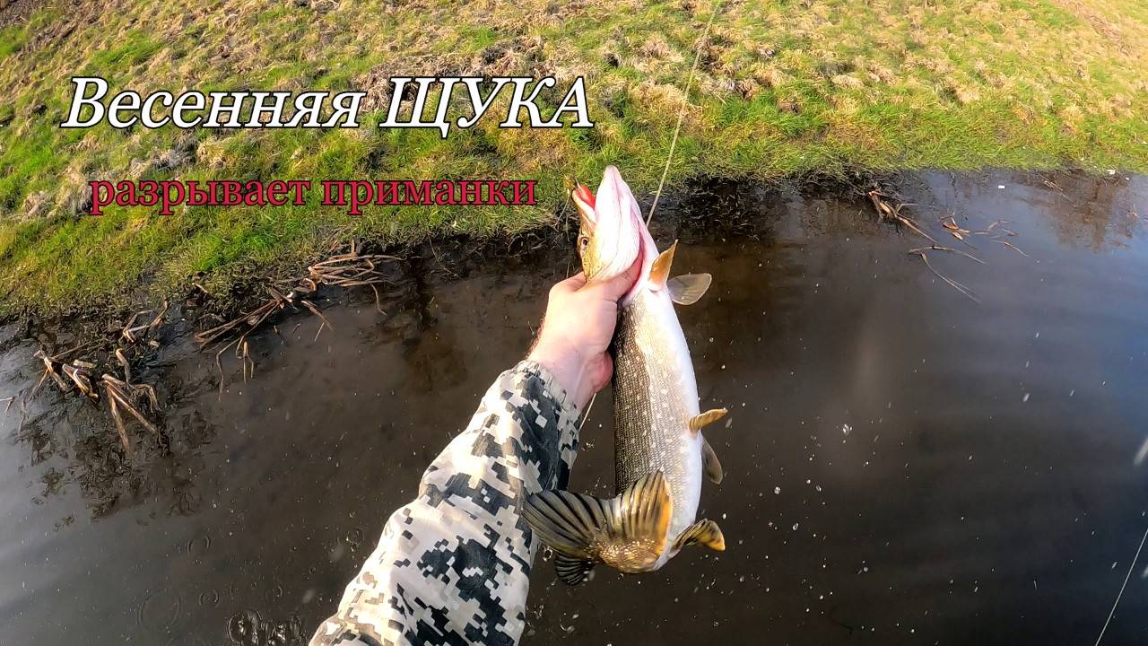 Весенняя ЩУКА разрывает приманки. Рыбалка весной на спиннинг.