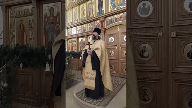 Новогоднее поздравление о. Андрея. Об эгоизме и видении грехов. 31.12.24