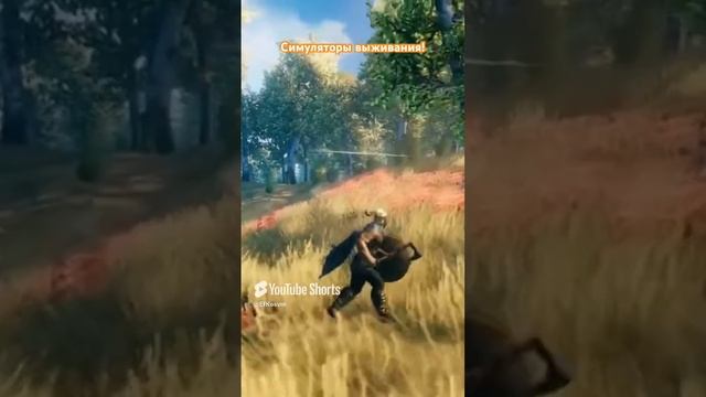 Какие есть классные симуляторы выживания? #игры #игрынапк #топигры #выживач #хардкор #games #gaming