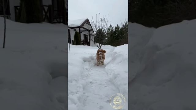 На встречу выходным