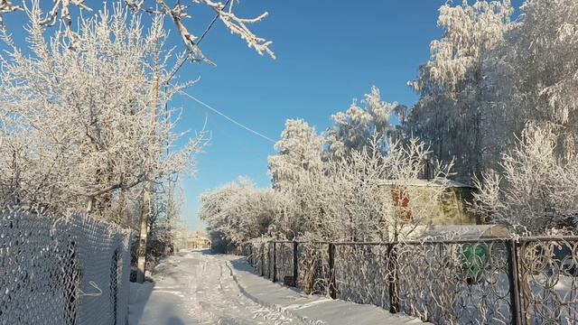 31 декабря 2024г.