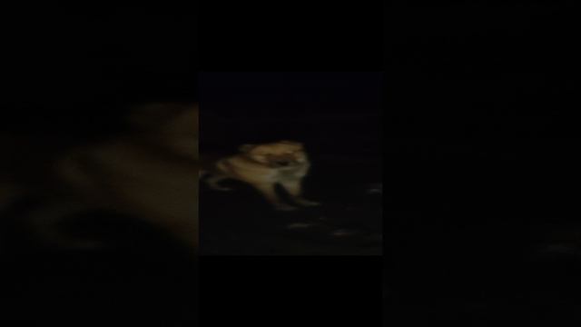 1000231105.mp4
