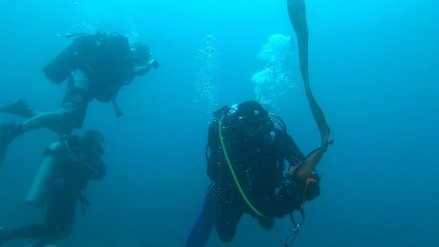 Safari Maldives Anton Camera
