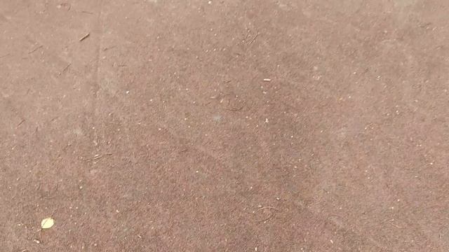 Архангельск Достопримечательность Летний Майский - Парк на Ленинградском проспекте #Влог #город