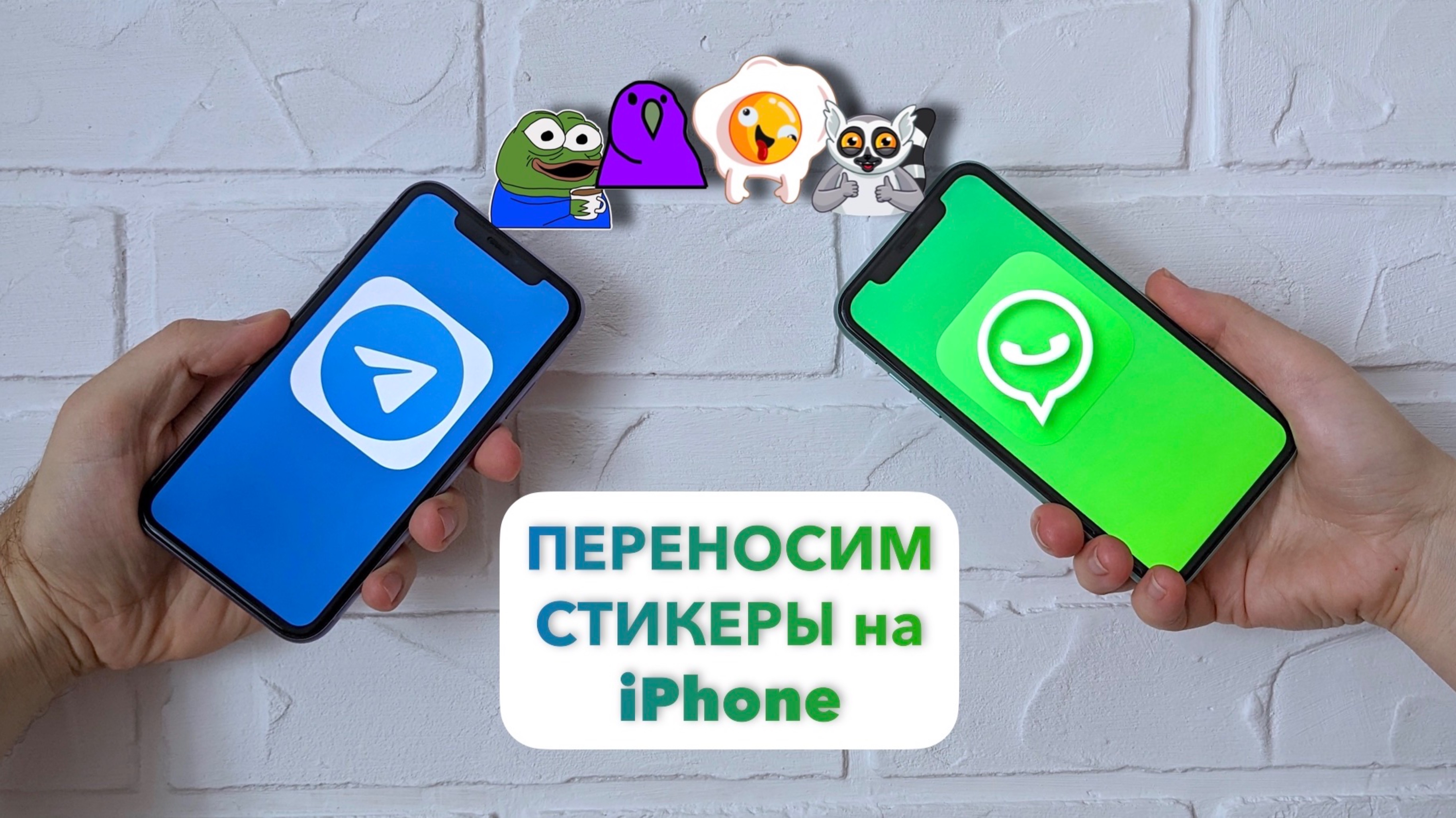 Как ПЕРЕНЕСТИ СТИКЕРЫ из Telegram в WhatsApp на iPhone / iOS. Две минуты и готово!