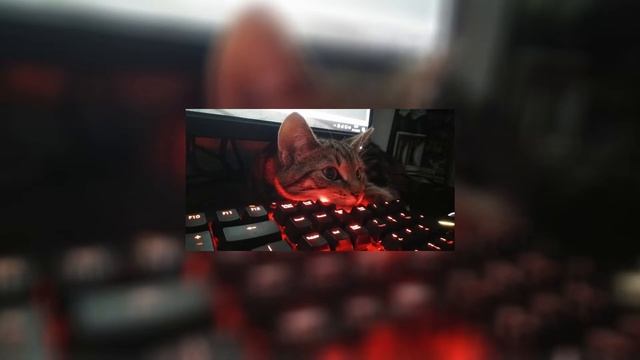 Платина - Все эти деньги сразу speed up