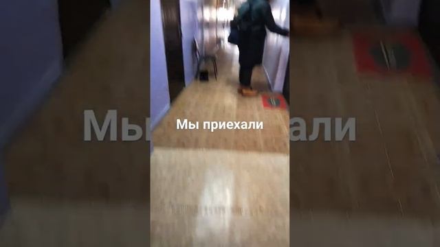 3 марта 2024 г.