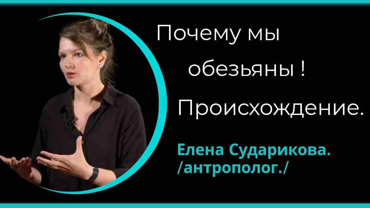 Почему мы обезьяны？ Происхождение человека. /Елена Сударикова/
