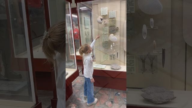 Из архива. Палеонтологический музей