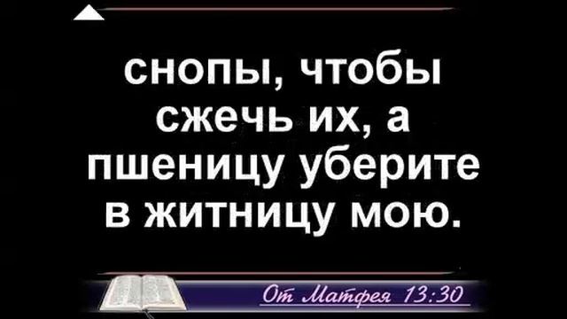кгю. Конец веков. "Свяжите их в связки..."