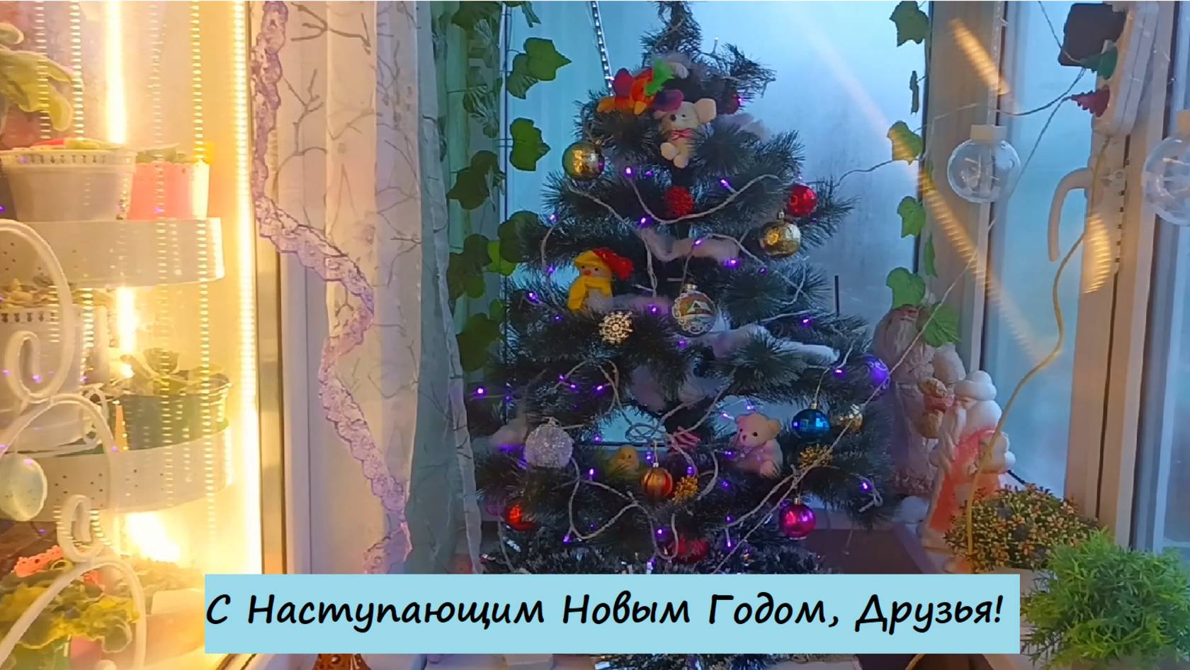 С Наступающим Новым Годом, Друзья! Пышного вам Цветения!🎉🔥💫💖