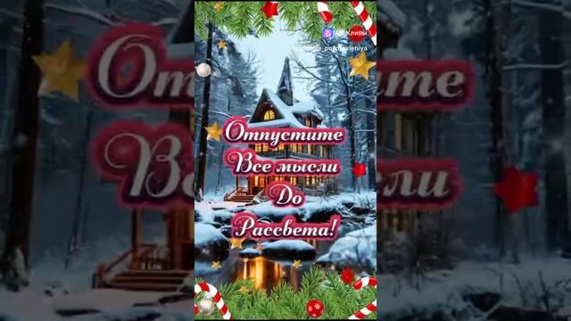 vkclips_20241230071343