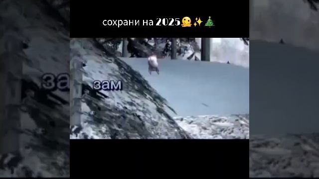 сохрани на 2025🎄✨️