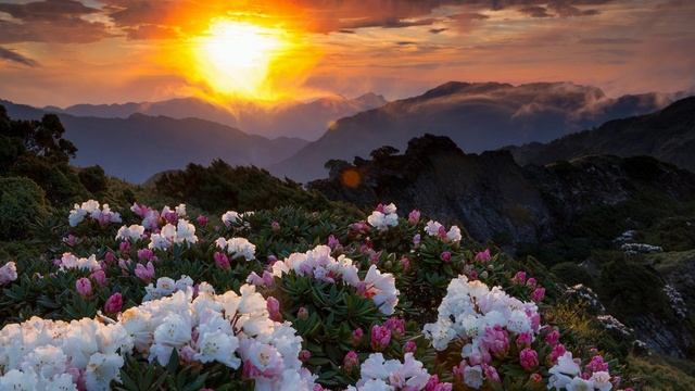6. Spirit of Light, LA (852 Hz) [Дух Света, нота Ля] - Anima Sound Medicine