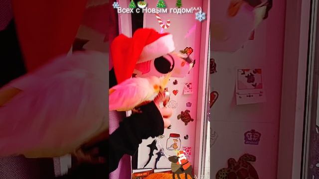 с новым годом вас всех поздравляю!!^^ 🥹💋🌹❤️🔥❄️🥳🥳