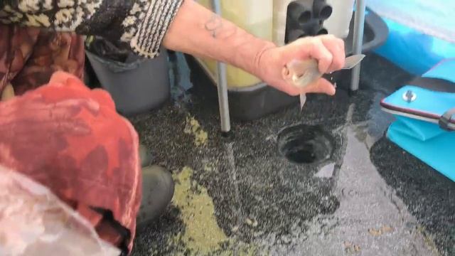 Мухо-мормышка, тест на водоёме🐝