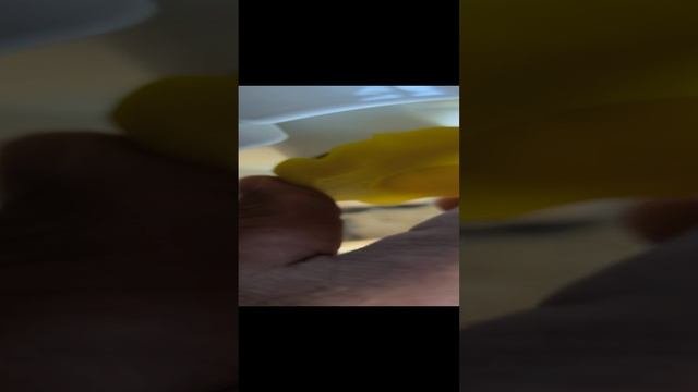 ЗАЧИСТКА