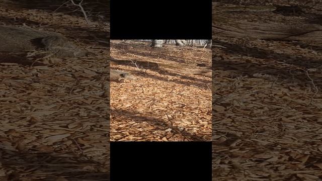 1000464166.mp4