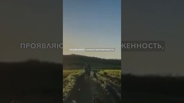 Мусульмане - герои СВО