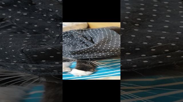 С новым годом, друзья!