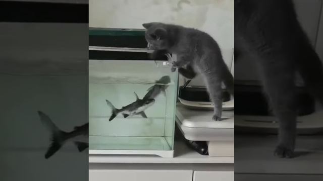 1000069875.mp4