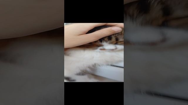 1000010326.mp4