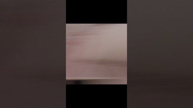 С Новым годом! 

Пусть этот волшебный праздник наполнит вашу жизнь светом и теплом. Пусть наступающи