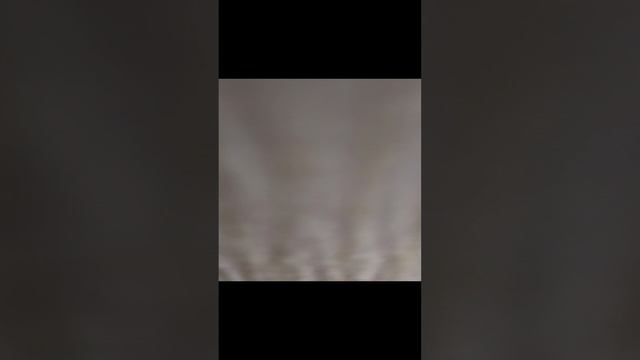 VID_20241231_205601.mp4