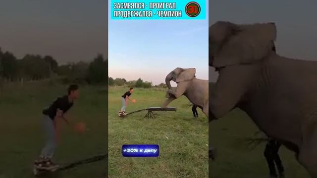 СМЕХ ДО СЛЁЗ🤣🤣🤣