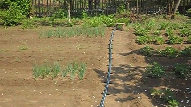Капельный полив своими руками