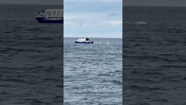 Путешествие по Териберке с Удачным Кемпером, на краю земли, качели #shorts