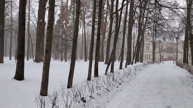 Мои личные итоги 2024 года. Парк. Усадьба Храповицких.
