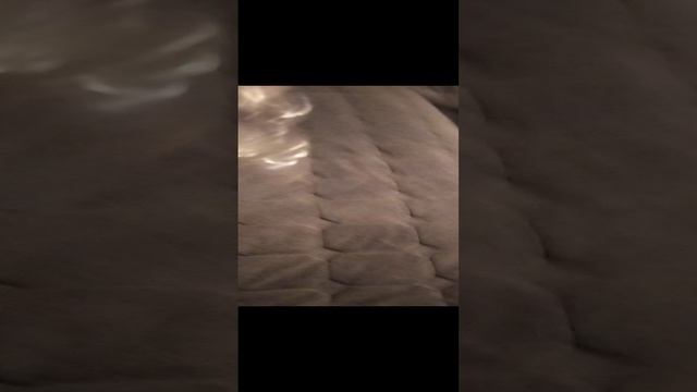 обзор подарков с Нового года
