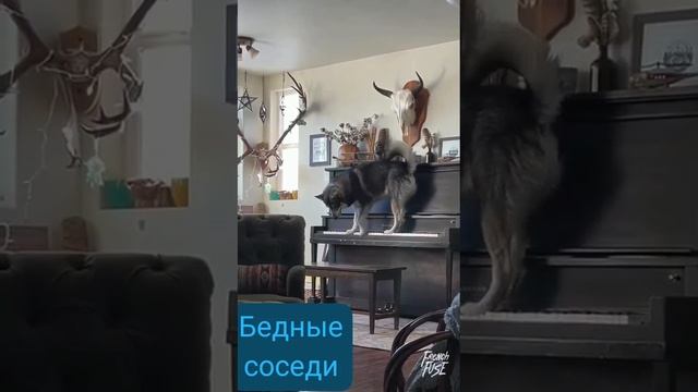 1000003620.mp4