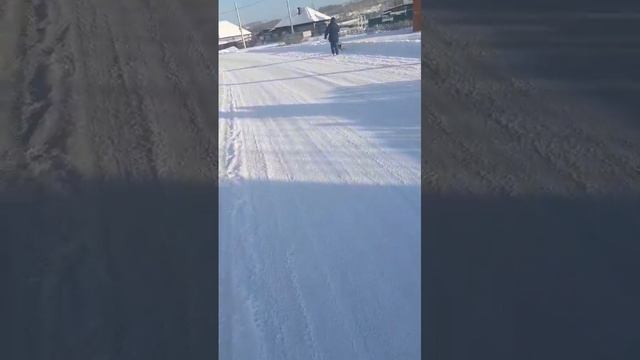 31 декабря прогулка с Бусей