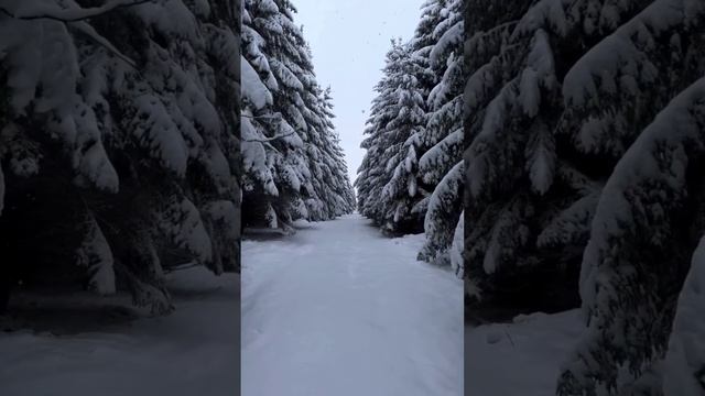 В Новый год с песней ❄ «00:01» — Музыкальная пауза