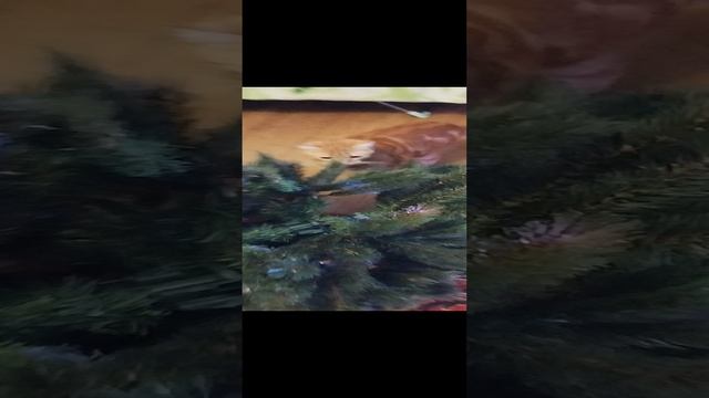1000025912.mp4