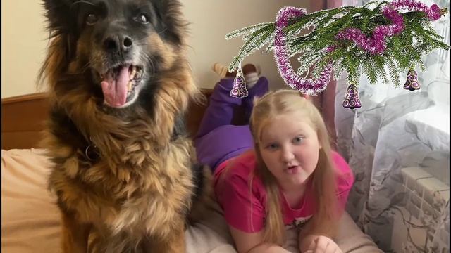 🎆🎄Милая Полина 🥰 и Рона 😍, бывшая подопечная группы, со своими поздравлениями для всех!✨🎉