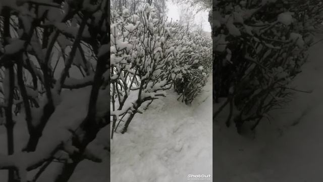 С наступающим новым годом ☃️