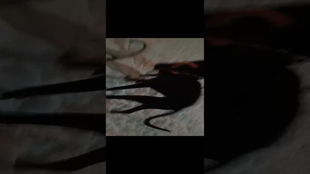 1000013021.mp4