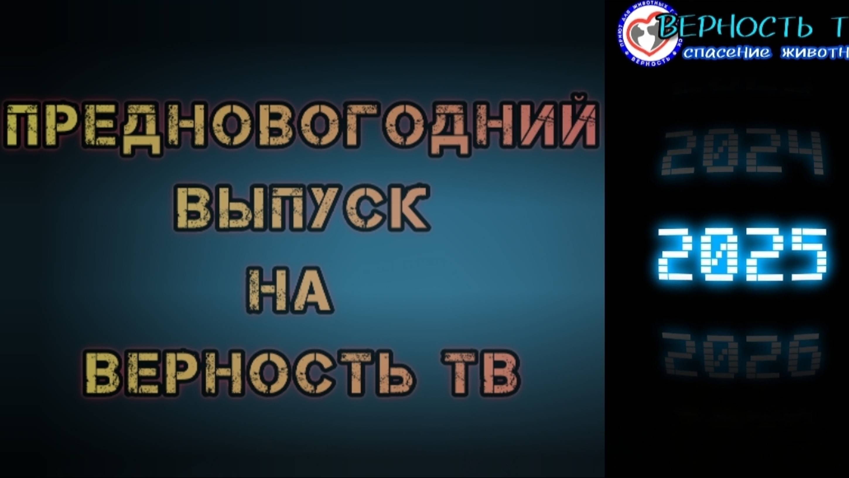 ☃️🎄Предновогодние новости из бесплатной ветсанчасти! Как поживают Бим надутый воздухом и многие др