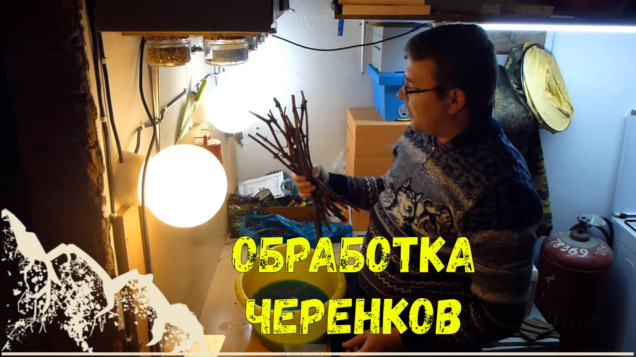 Обработка черенков винограда для хранения