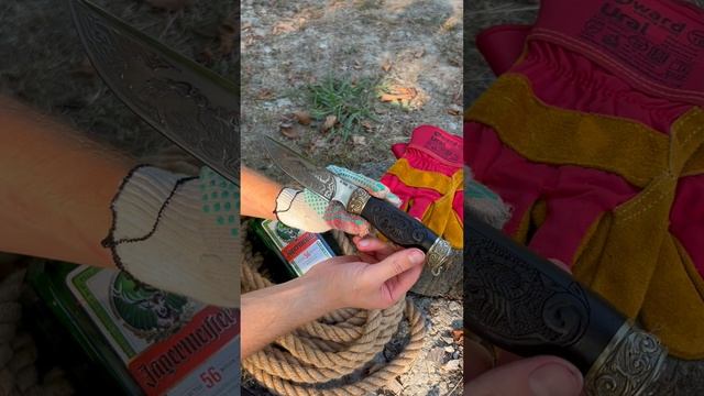 Подарить скорпиона — не такая уж и плохая идея 🦂