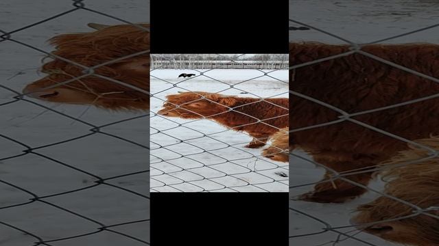 1000011435.mp4