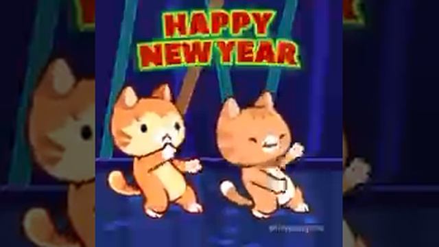 1000089357.mp4