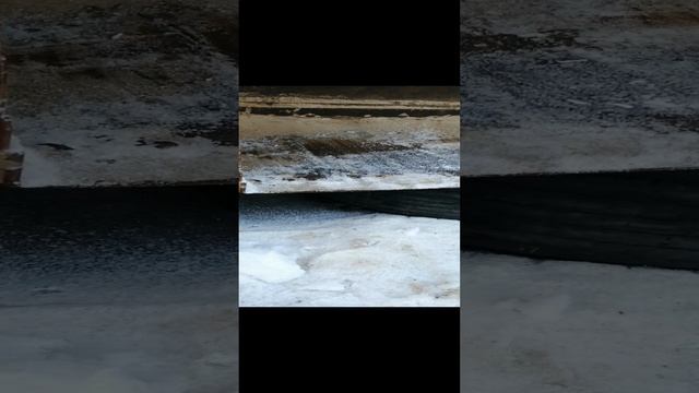 VID_20241231_125813.mp4