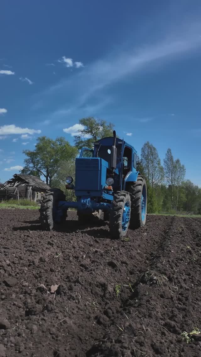 Трактор Т40. Посадка картофеля. #farming #т40 #трактор